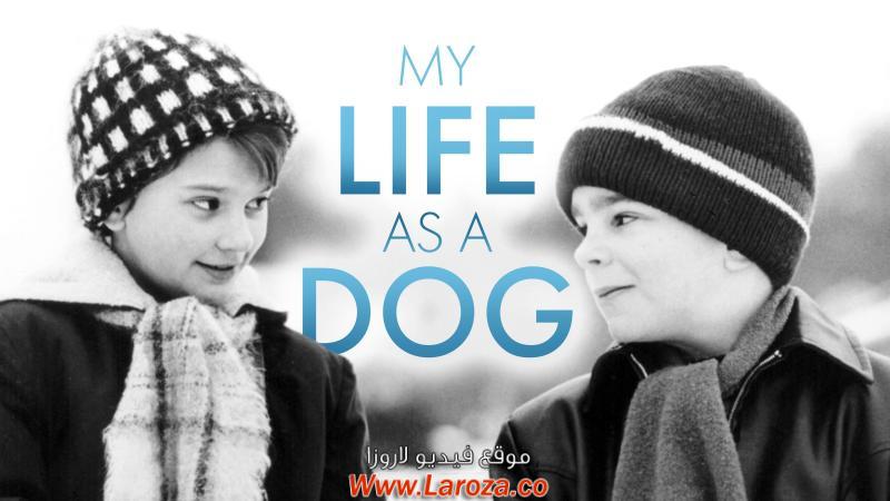 فيلم My Life as a Dog 1985 مترجم HD اون لاين