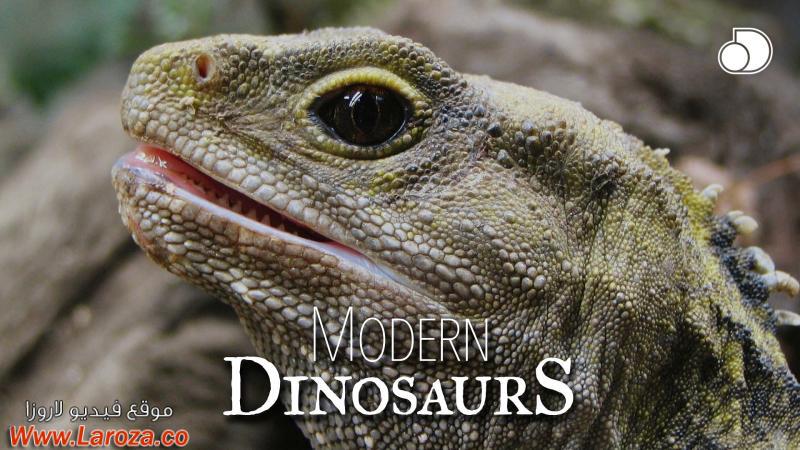 فيلم Attenborough and the Giant Dinosaur 2016 مترجم HD اون لاين