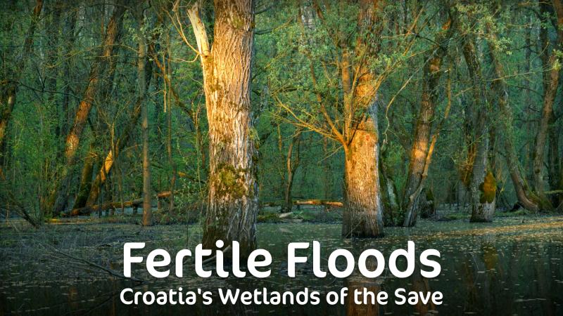 فيلم Fertile Floods: Croatia’s Wetlands 2018 مترجم HD اون لاين
