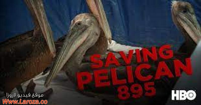 فيلم Saving Pelican 895 2011 مترجم HD اون لاين